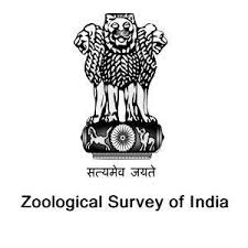 ZSI Recruitment 2021 – Opening for Various JRF Posts | Apply Now