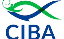 CIBA Recruitment 2022 – Opening for Various YP Posts | Apply Email