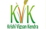 KVK Recruitment 2021 – Opening for Various SMS Posts | Apply Now