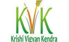 KVK Recruitment 2021 – Opening for Various SMS Posts | Apply Now