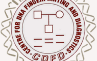 CDFD Recruitment 2021 – Opening for Various Computer Programmer posts | Apply Now