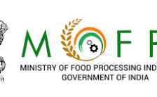 MOFPI Recruitment 2022 – Opening for 29 Manager Posts | Apply Now