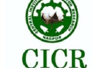 ICAR-CICR Recruitment 2022 – Opening for Various YP Posts | Apply Now